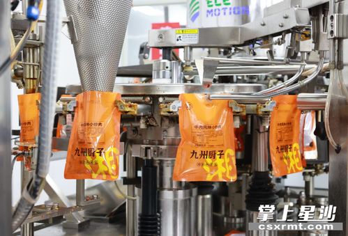 乘熱上菜 蓄力打造雙百億湘菜預制菜產業園，助力農副產品轉型升級