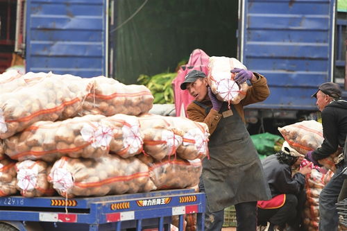 寒潮將至，備貨先行——太原河西市場全力保障市民“菜籃子”供應