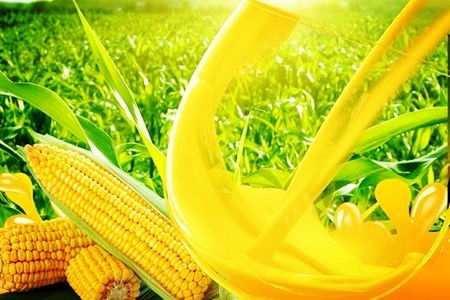 農副食品加工 吉林農副食品加工公司57.136 股權轉讓11bj042 1014